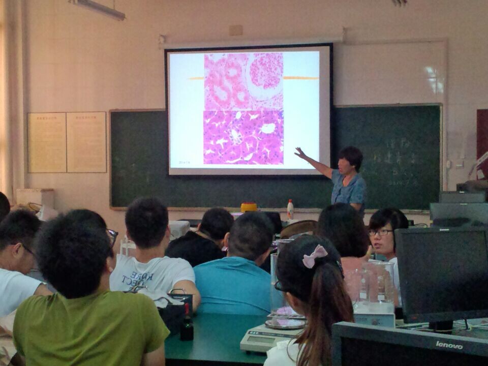 学院创新训练项目暑期集中实验启动